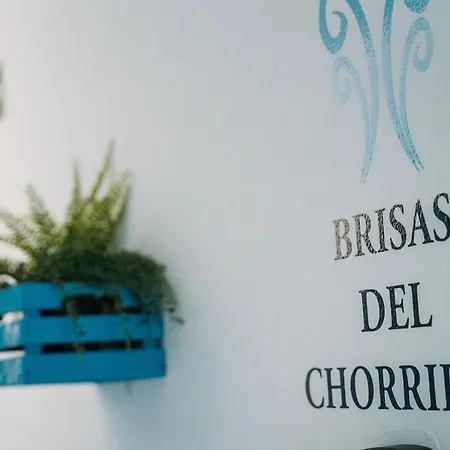 Brisas De Conil Pensionat